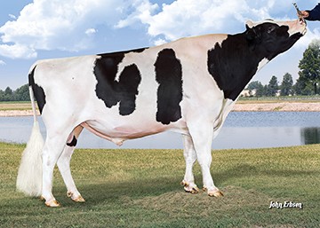 7HO13276 WOODCREST SSI MNT BOWEN-ET ჰოლშტეინი შავ_ჭრელი